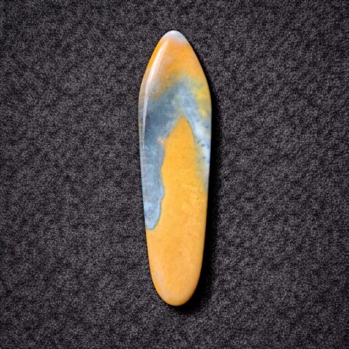 Florida Agatized Coral Pendant