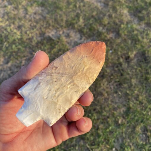 Flintknapped Spearpoint — Agatized Coral Artifact