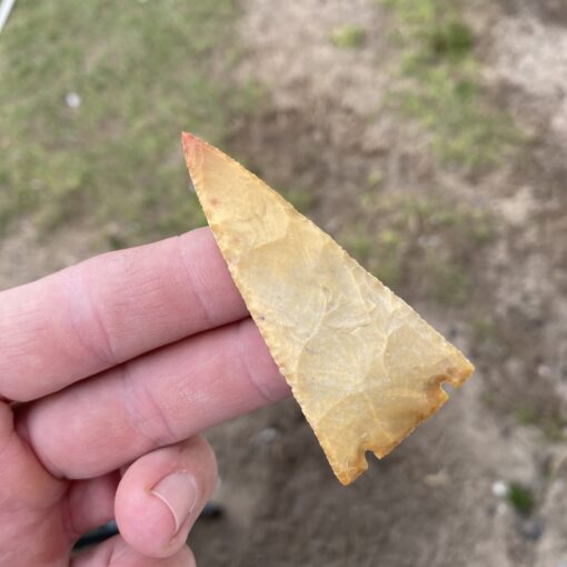 Golden Coral Arrowhead — Handcrafted Florida Agatized Coral Point