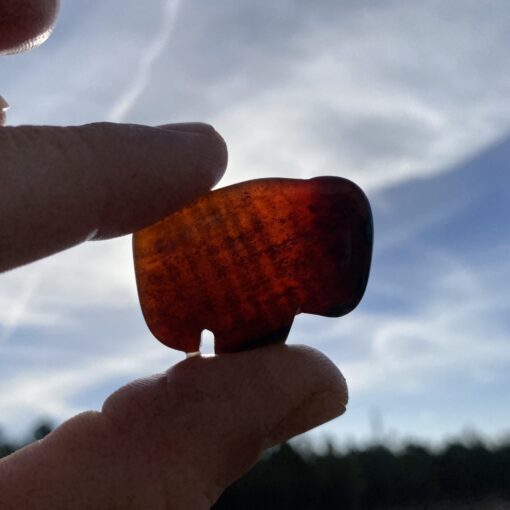 Bison Series Pendant — Florida Agatized Coral Collector Piece