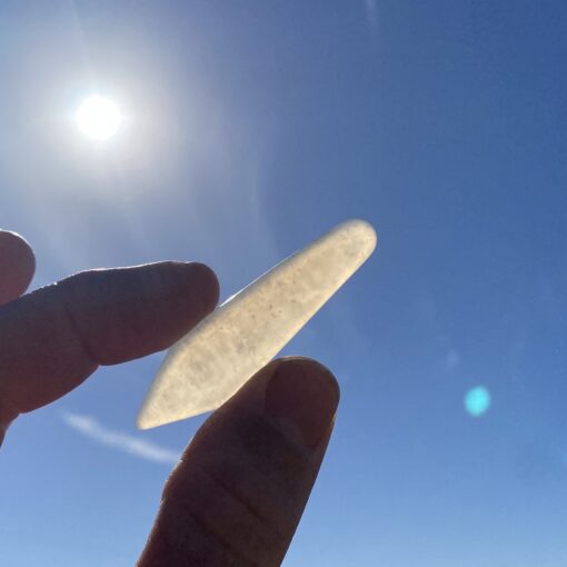 Handcrafted Agatized Coral Pendant