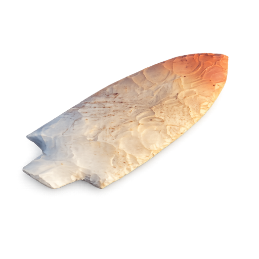 Coral Agates of Florida