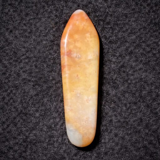 Florida Agatized Coral Pendant