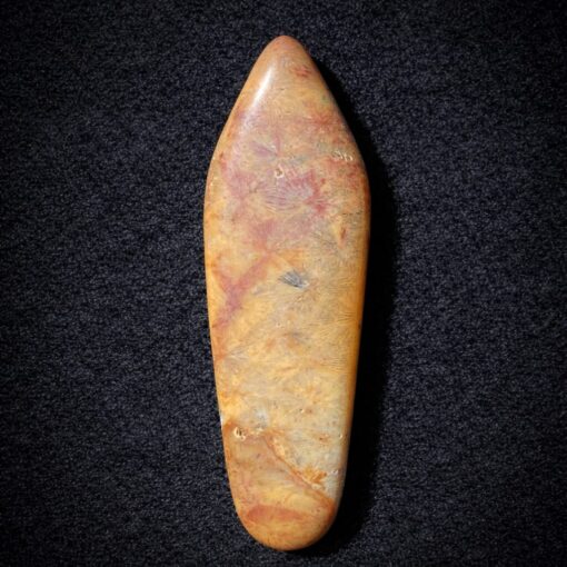 Florida Agatized Coral Pendant