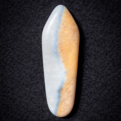 Florida Agatized Coral Pendant