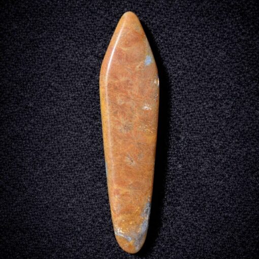 Florida Agatized Coral Pendant
