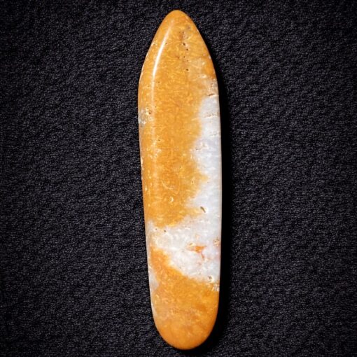Florida Agatized Coral Pendant