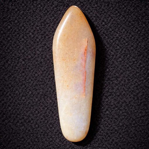 Florida Agatized Coral Pendant