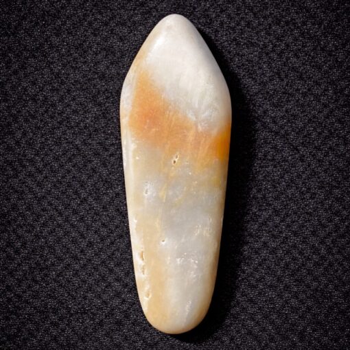 Florida Agatized Coral Pendant