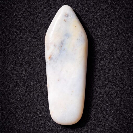 Florida Agatized Coral Pendant