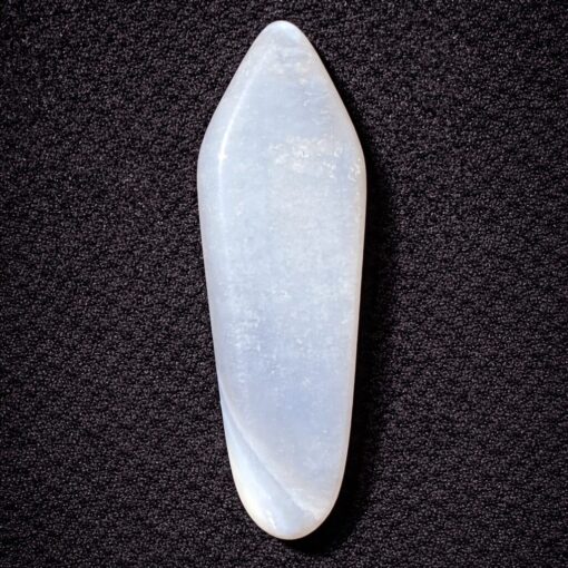 Florida Agatized Coral Pendant