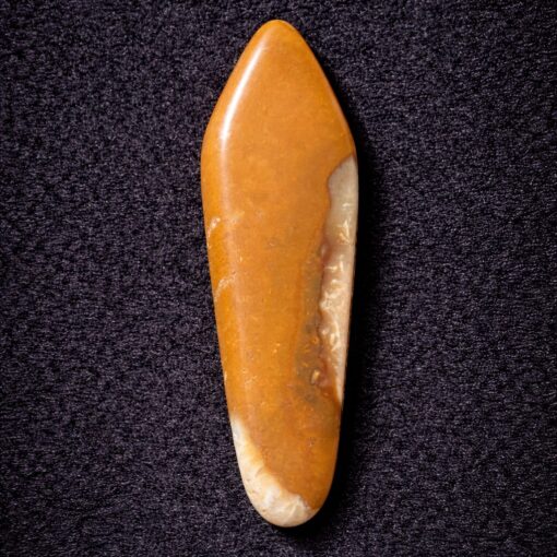 Florida Agatized Coral Pendant