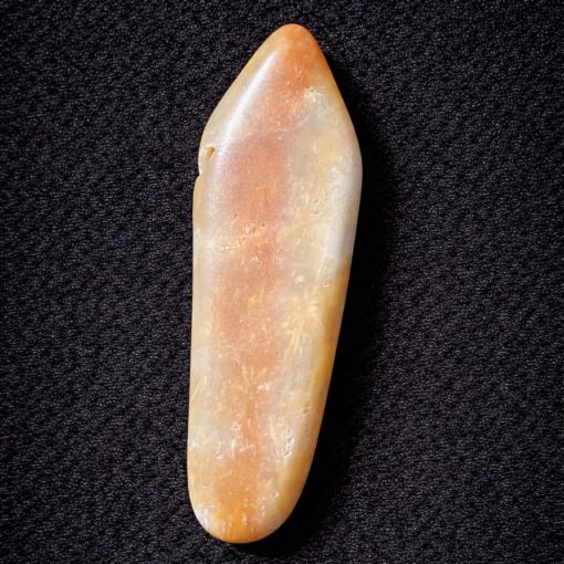 Florida Agatized Coral Pendant