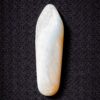 Florida Agatized Coral Pendant