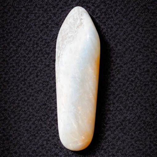 Florida Agatized Coral Pendant