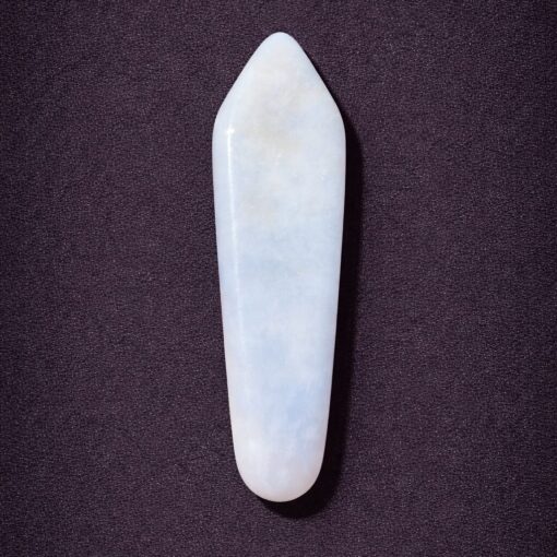 Florida Agatized Coral Pendant