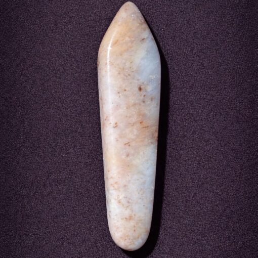 Florida Agatized Coral Pendant