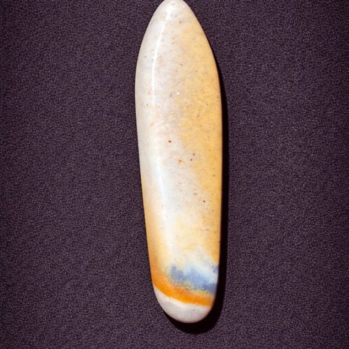 Florida Agatized Coral Pendant