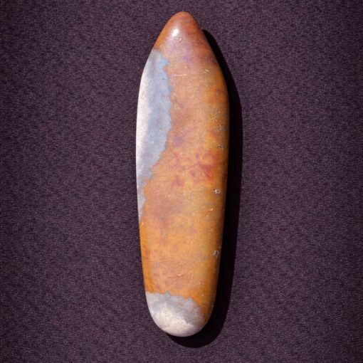 Florida Agatized Coral Pendant