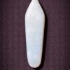 Florida Agatized Coral Pendant