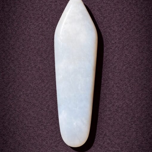 Florida Agatized Coral Pendant