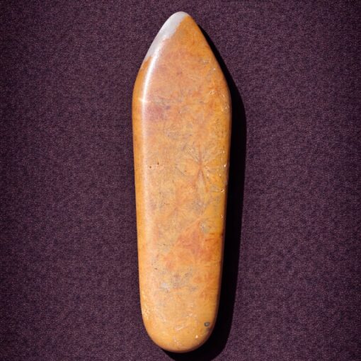 Florida Agatized Coral Pendant
