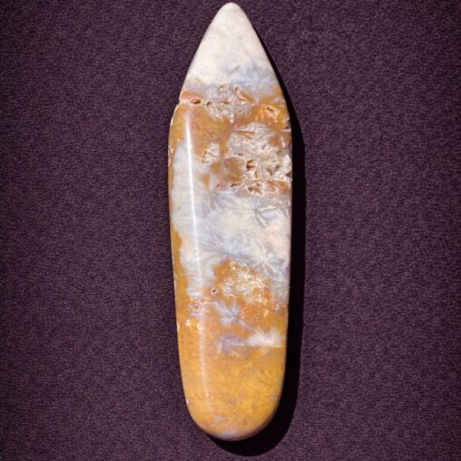 Florida Agatized Coral Pendant