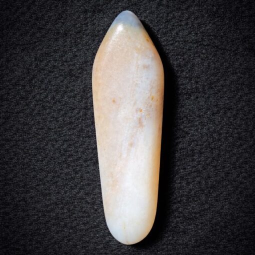 Florida Agatized Coral Pendant