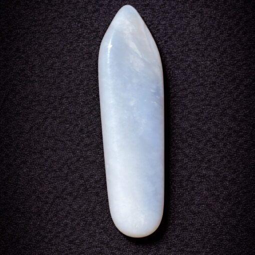 Florida Agatized Coral Pendant