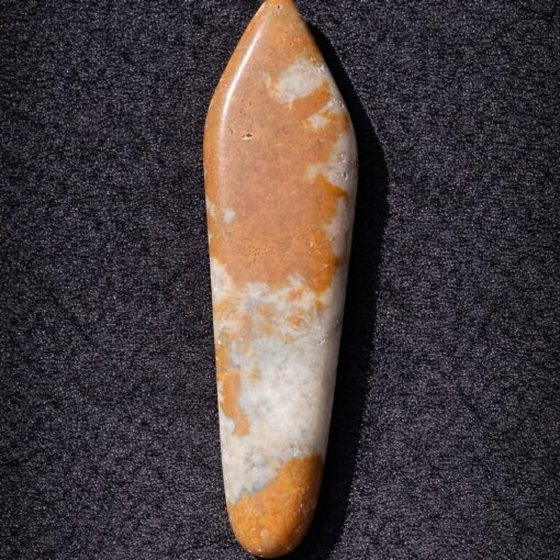 Florida Agatized Coral Pendant