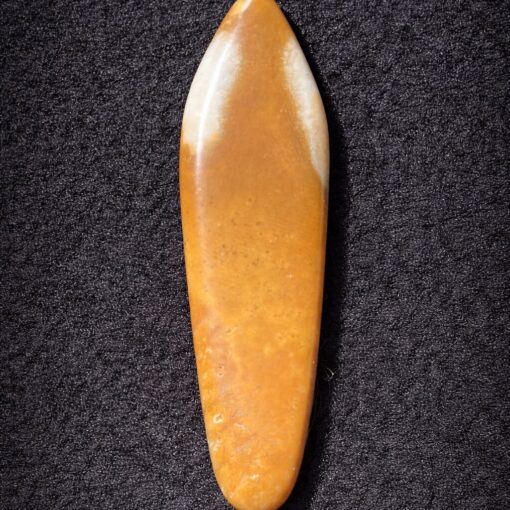 Florida Agatized Coral Pendant
