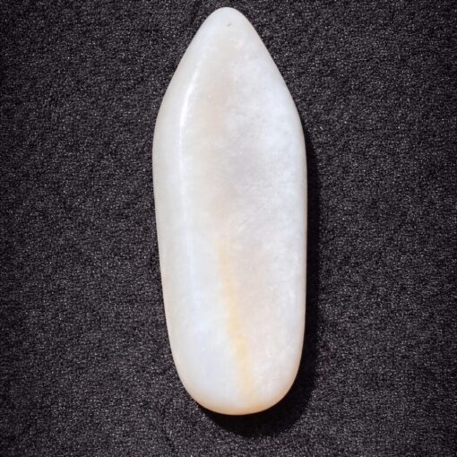 Florida Agatized Coral Pendant