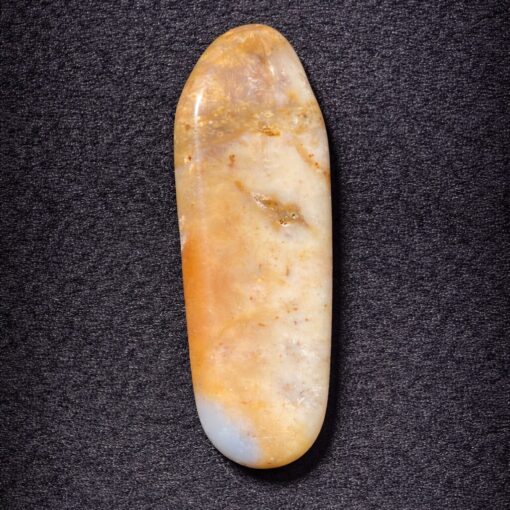 Florida Agatized Coral Pendant