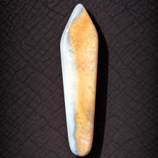 Florida Agatized Coral Pendant