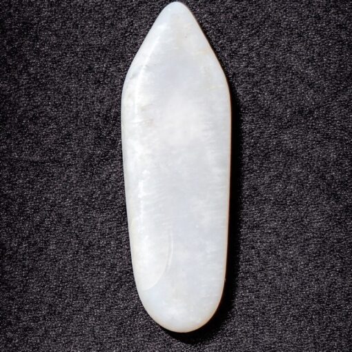 Florida Agatized Coral Pendant