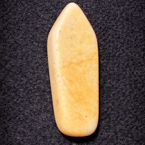 Florida Agatized Coral Pendant