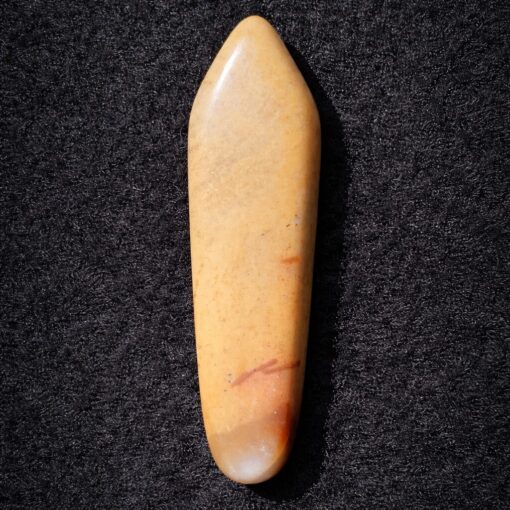 Florida Agatized Coral Pendant