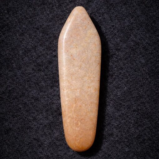 Florida Agatized Coral Pendant