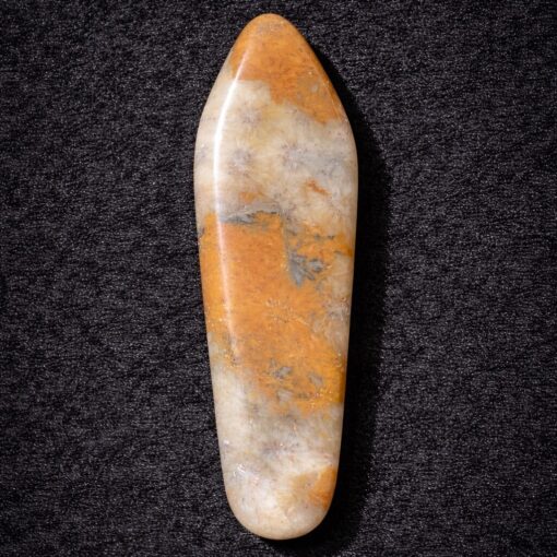 Florida Agatized Coral Pendant