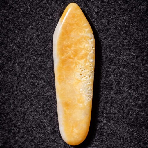 Florida Agatized Coral Pendant