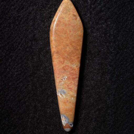 Florida Agatized Coral Pendant
