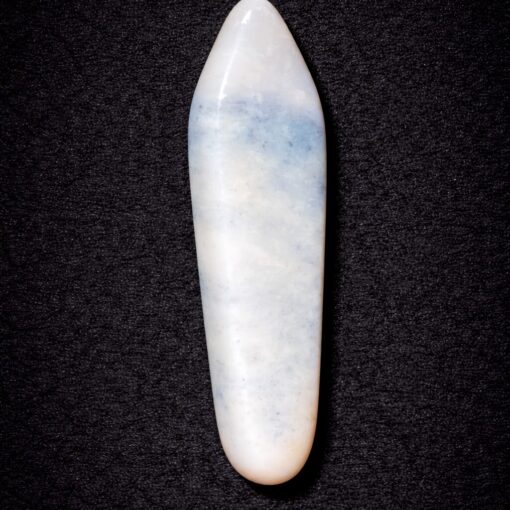Florida Agatized Coral Pendant