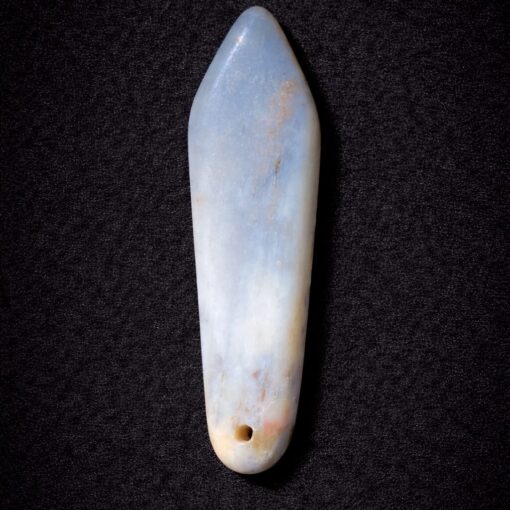 Florida Agatized Coral Pendant