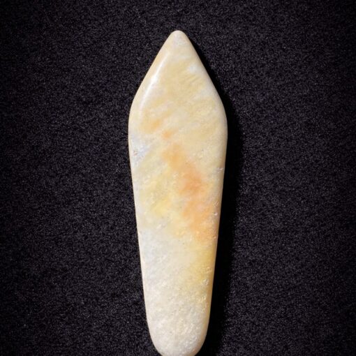 Florida Agatized Coral Pendant