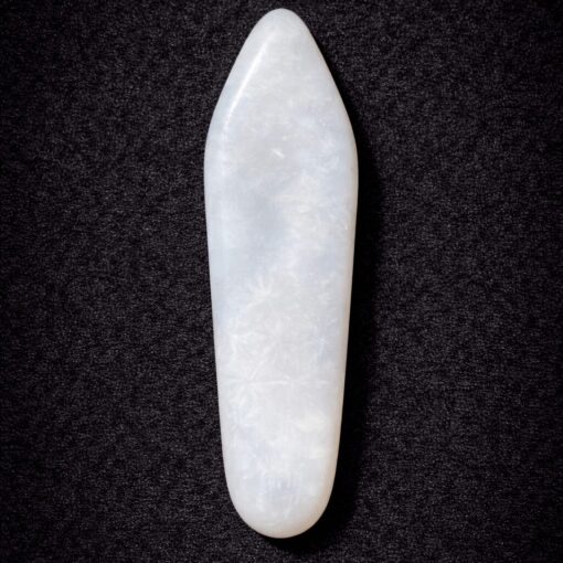 Florida Agatized Coral Pendant