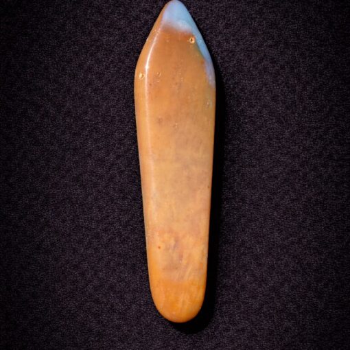 Florida Agatized Coral Pendant